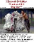 buglist.jpg
